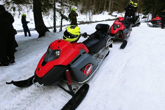 Snowmobiles, Sky Lift & Winter Sports - Private Tour - Tips for making the day run smoothly