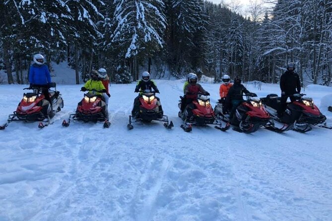 Snowmobiles, Sky Lift & Winter Sports - Private Tour - Should you book this Bucharest snowmobile tour?