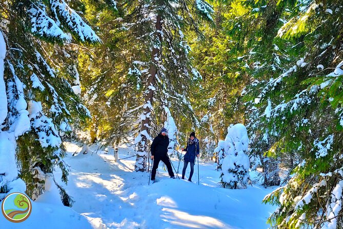 Snowshoeing Fun Tour from Cluj Napoca - Getting comfortable in snowshoes