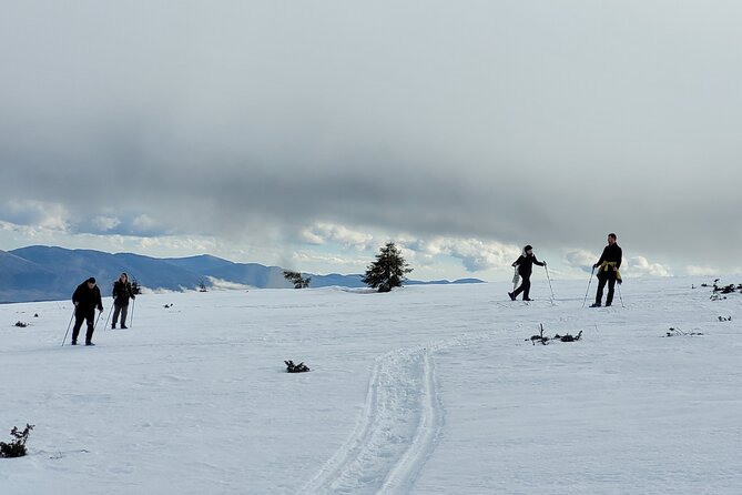 Snowshoeing Fun Tour from Cluj Napoca - Winter ecology, animals, and local culture
