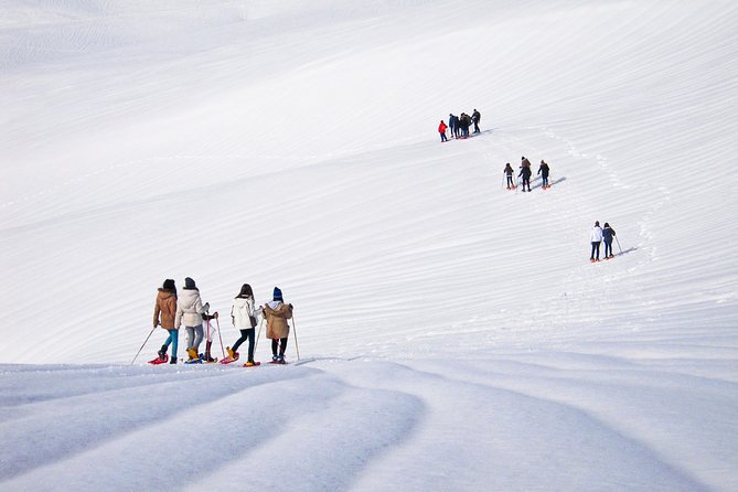 Snowshoeing Fun Tour from Cluj Napoca - Who should choose this tour?