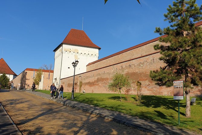 Targu Mures 3 hours walking tour - Why this private walk works well in Târgu Mureș