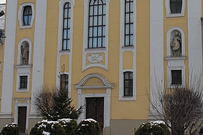 Targu Mures 3 hours walking tour - Târgu Mureș Fortress and the town’s oldest church