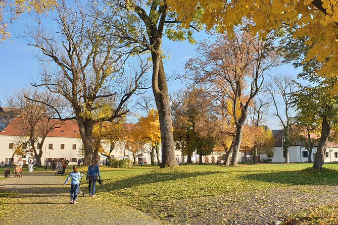 Targu Mures 3 hours walking tour - The Cultural Palace and its famous Mirror Hall