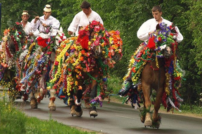 The Best of Maramures in One Day - Sighet Memorial: a serious hour in a former prison