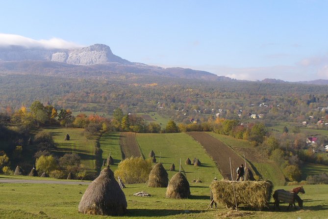 The Best of Maramures in One Day - Merry Cemetery and its cheerful tombstones