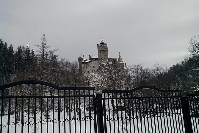 The Castles from the Carpathian Mountains! The Fixers Private Tour - Comfort, timing, and the price of a private car