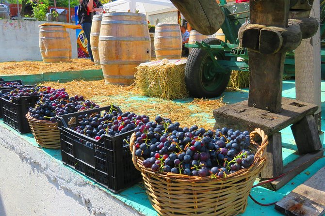 The wine route by bike - Starting near Bucharest and getting fitted to the bike