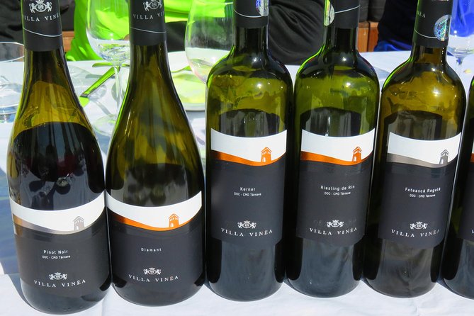 The wine route by bike - Fitness, pace, and the right type of cyclist