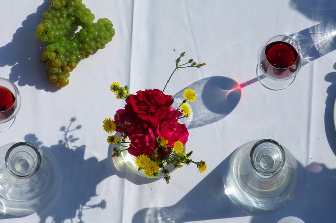 The wine route by bike - Bellu Manor gives the ride a cultural opening