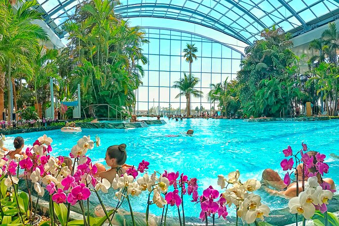 Therme Bucharest Tickets and Water Theme Park - Palm trades thrills for warm water and plants