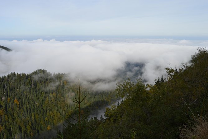 Transfagarasan, Vidraru and Poenari Fortress Tour from Sibiu - Who should book this day from Sibiu?