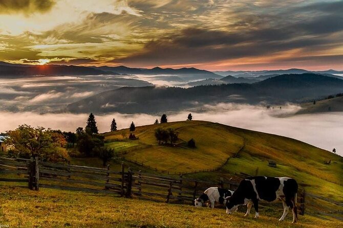 Transfer Bucharest -Brasov with Targoviste and Bran Castle visits - What the private guide adds