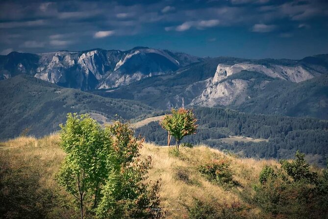 Transfer Bucharest -Brasov with Targoviste and Bran Castle visits - Timing, traffic, and physical effort