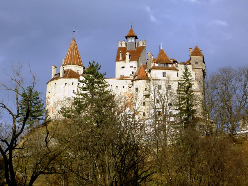 Transylvania: Cultural Full-Day Trip by Minivan - The guide can make or break the long day