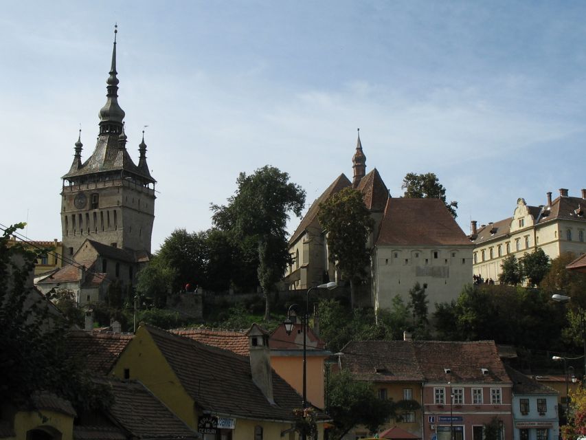 Transylvania: Dracula's Castle and Birthplace Tour - Why this day makes sense for Dracula fans