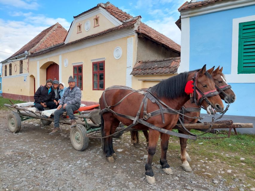 Transylvania Gems: Sighisoara, Medias, Biertan & Gypsy life - Mediaș and the Citadel of Light