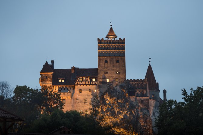 Transylvania with Dracula Castle, Bear Sanctuary and Brasov - The real star of the day: Libearty Bear Sanctuary