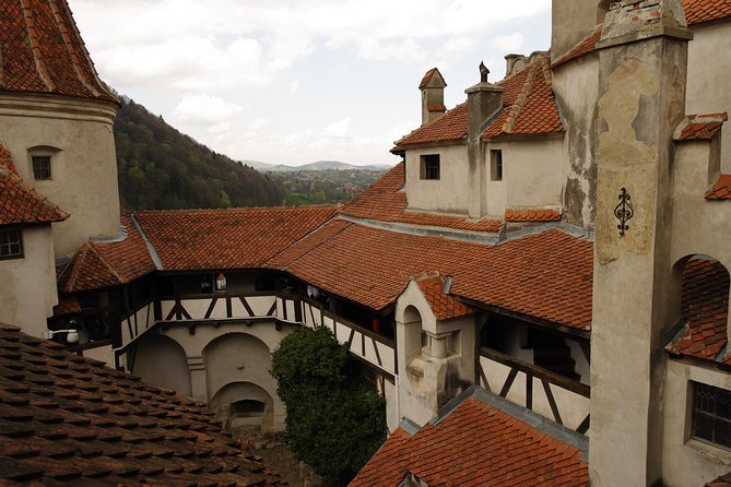 Transylvania with Dracula Castle, Bear Sanctuary and Brasov - Should you book the Bucharest to Transylvania tour?