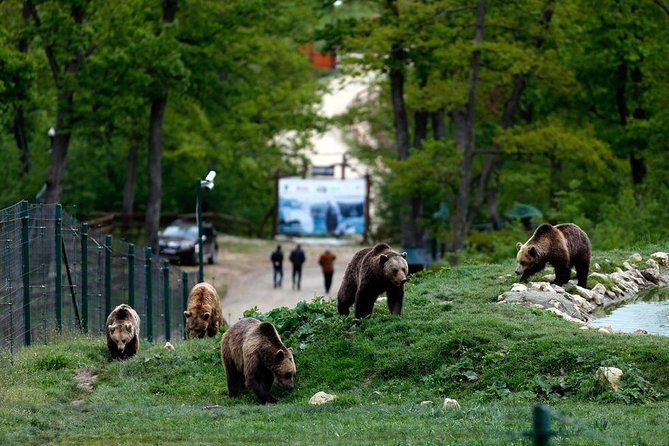 Transylvania with Dracula Castle, Bear Sanctuary and Brasov - Bran Castle: Dracula’s address, with some important fine print