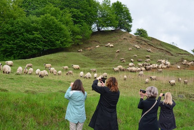 Transylvanian week - Day 5: Carpathian views and the Bran Castle legend