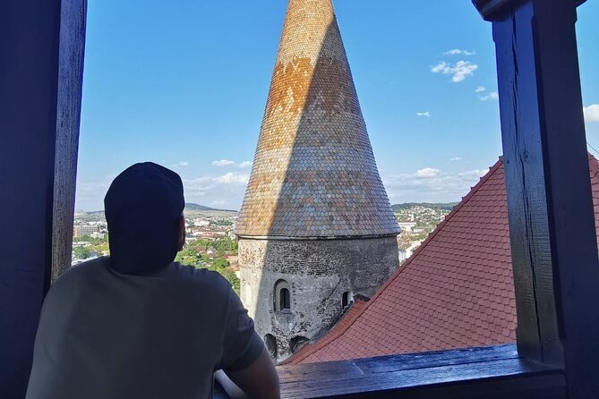 Turda Salt Mine, Corvin Castle and Alba Fortress from Cluj - Alba Carolina Fortress and the story of 1918