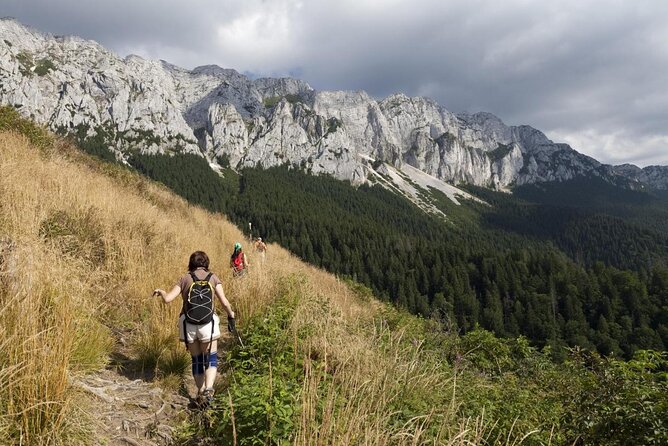 Village life in Transylvanian Carpathian mountains - 8 days - Day 2: Bran Castle and the trail to Magura