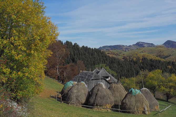 Village life in Transylvanian Carpathian mountains - 8 days - Day 4: Magura, Pestera, Sirnea, Ciocanu, and Fundata