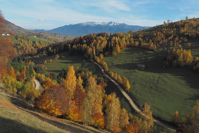 Village life in Transylvanian Carpathian mountains - 8 days - Day 5: Fundata and Fundățica