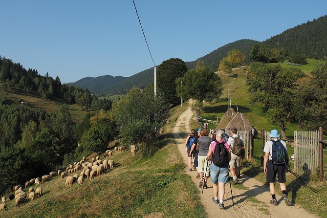 Village life in Transylvanian Carpathian mountains - 8 days - Day 7: Seven Ladders Canyon and a farewell in Brasov