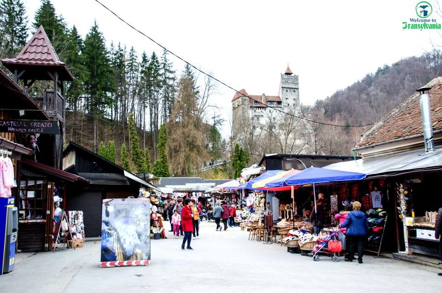 Visit Bear Sanctuary and Bran Castle from Brasov - Why this pairing works so well