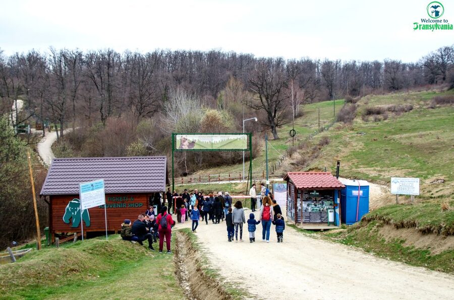 Visit Bear Sanctuary and Bran Castle from Brasov - LiBEARty Sanctuary: the most meaningful stop