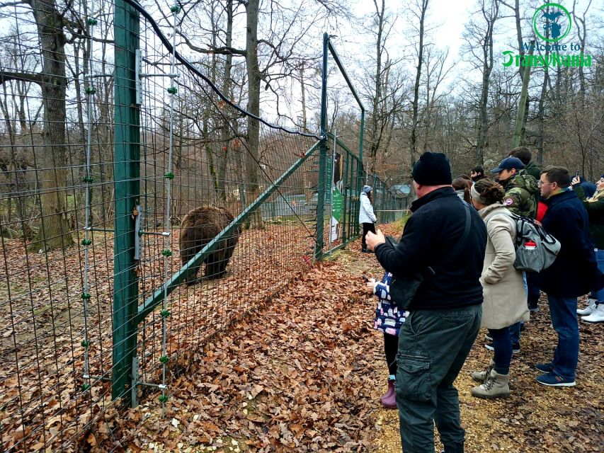 Visit Bear Sanctuary and Bran Castle from Brasov - Bran Castle and the Dracula connection