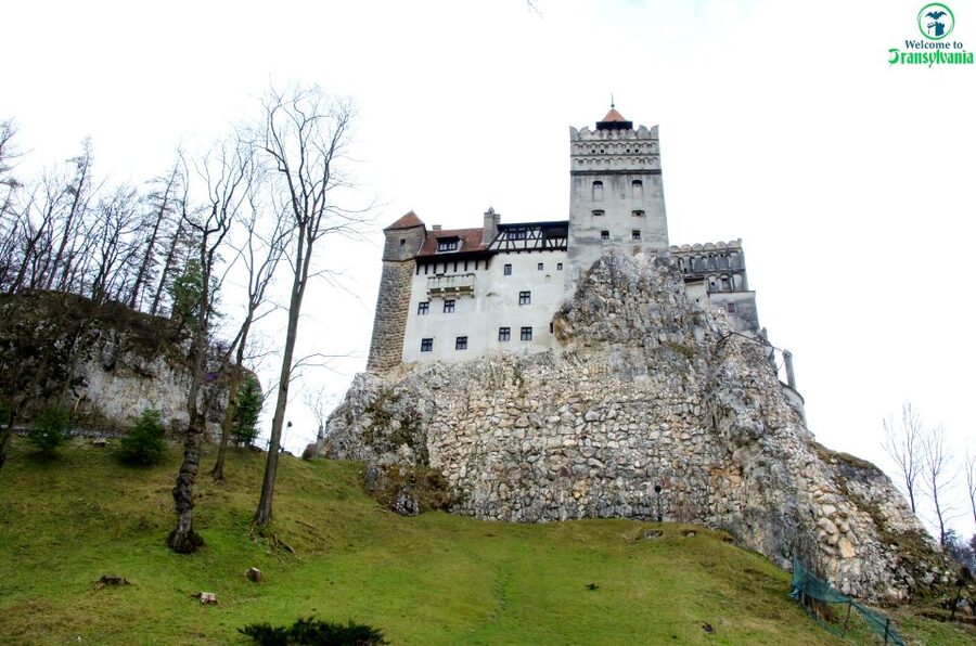 Visit Bear Sanctuary and Bran Castle from Brasov - How the guide shapes the day