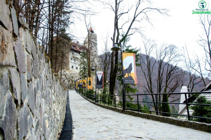 Visit Bear Sanctuary and Bran Castle from Brasov - Should you book it?