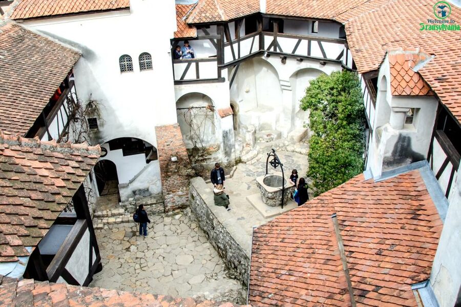 Visit Bear Sanctuary and Bran Castle from Brasov - The 45-minute ride from Brasov