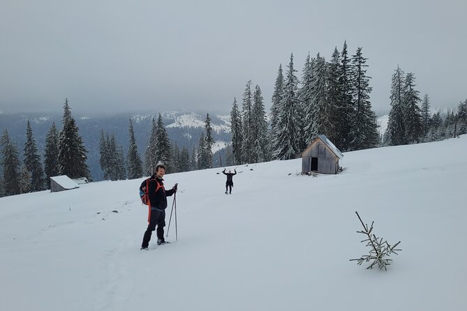 Vladeasa Peak and Bride's Waterfall Day Hike - Winter conditions change the whole experience