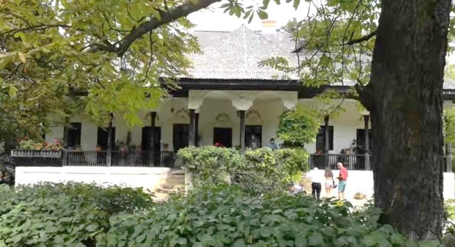 Winery touring & private wine tasting - one day private tour - Timing, comfort, and practical limits